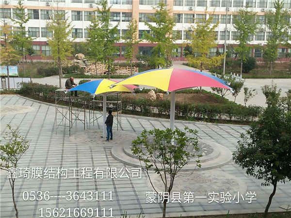 膜结构看台 (2)
