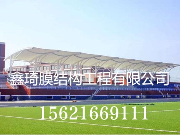 体育馆膜结构看台