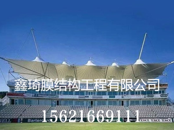 潍坊膜结构看台厂家