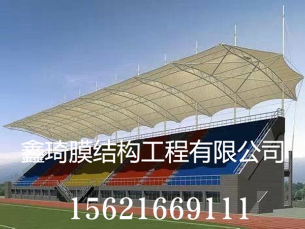 潍坊膜结构看台厂家